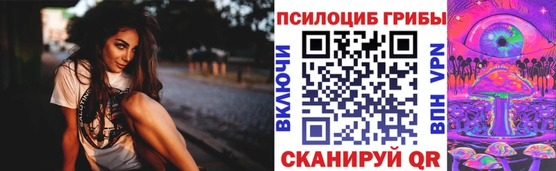 как найти наркотики  Чапаевск  Галлюциногенные грибы мухоморы 