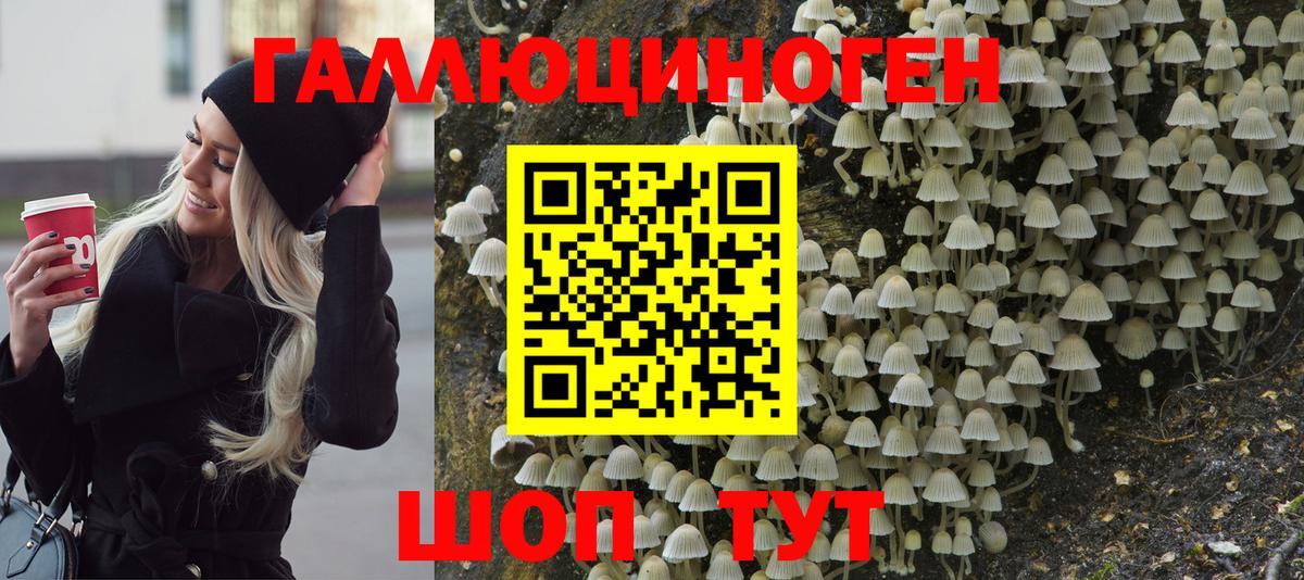 Псилоцибиновые грибы Magic Shrooms Чапаевск